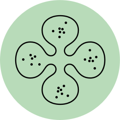 Prebiotics