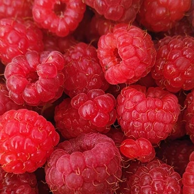 Raspberry Seed Oil