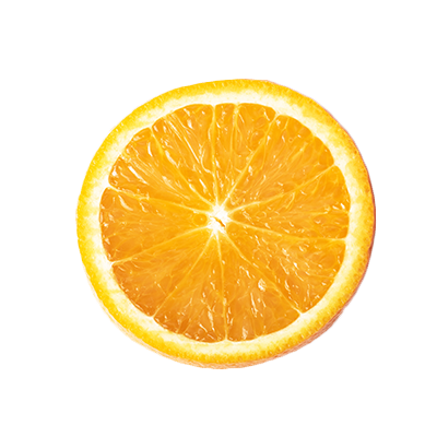 Vitamin C Shower Filter Citrus Crush