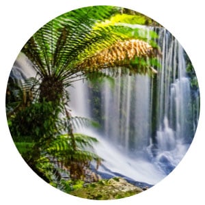 Vitamin C Shower Filter Rainforest Mist