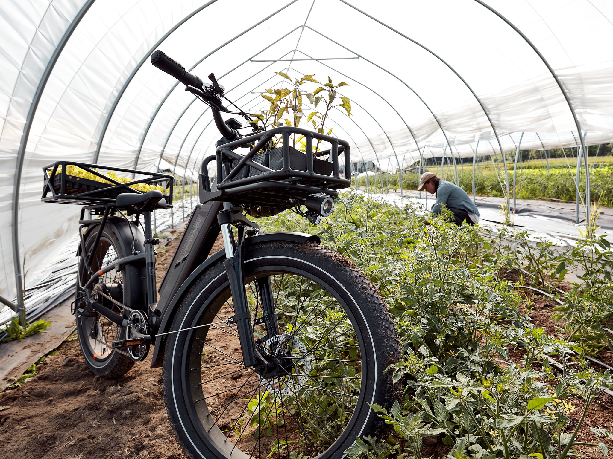 rad power bikes fat-tire e-bike