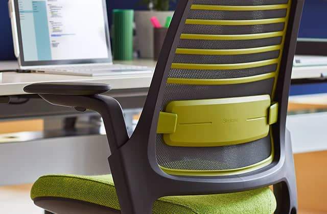 Steelcase Series 1 Bürostuhl Flexor-Rückenstütze
