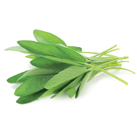 Sage Leaves