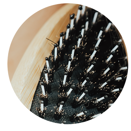 Boar Hair Bristles