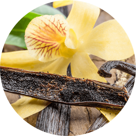 Vanilla