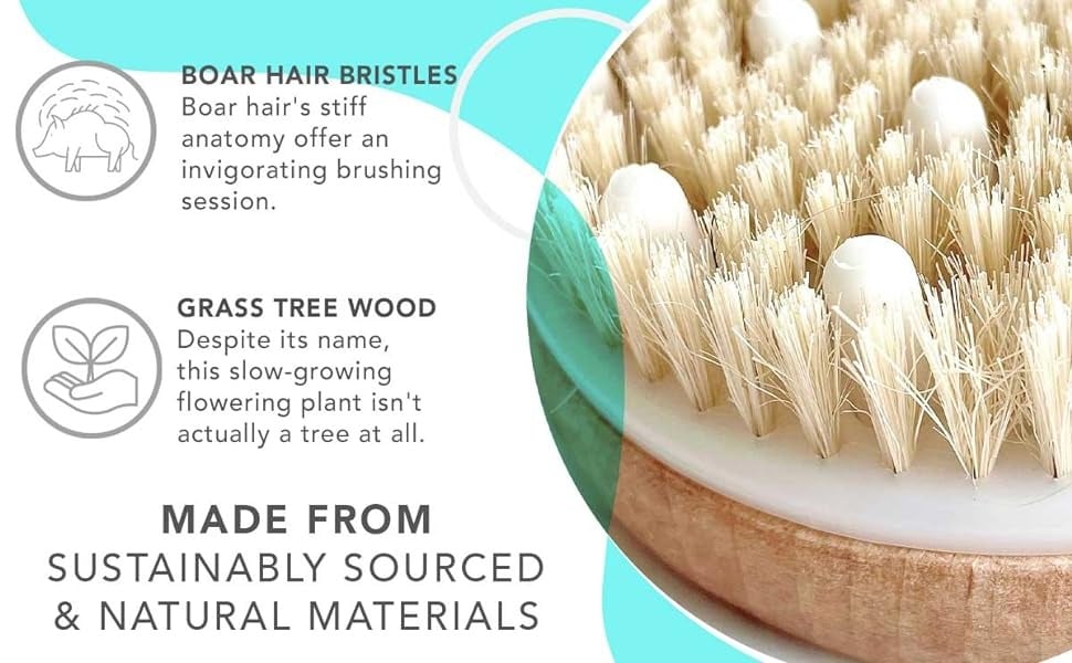 BOAR HAIR BRISTLES
Boar hair's stiff anatomy offer an invigorating brushing session.
GRASS TREE WOOD
Despite its name, this slow-growing flowering plant isn't actually a tree at all.