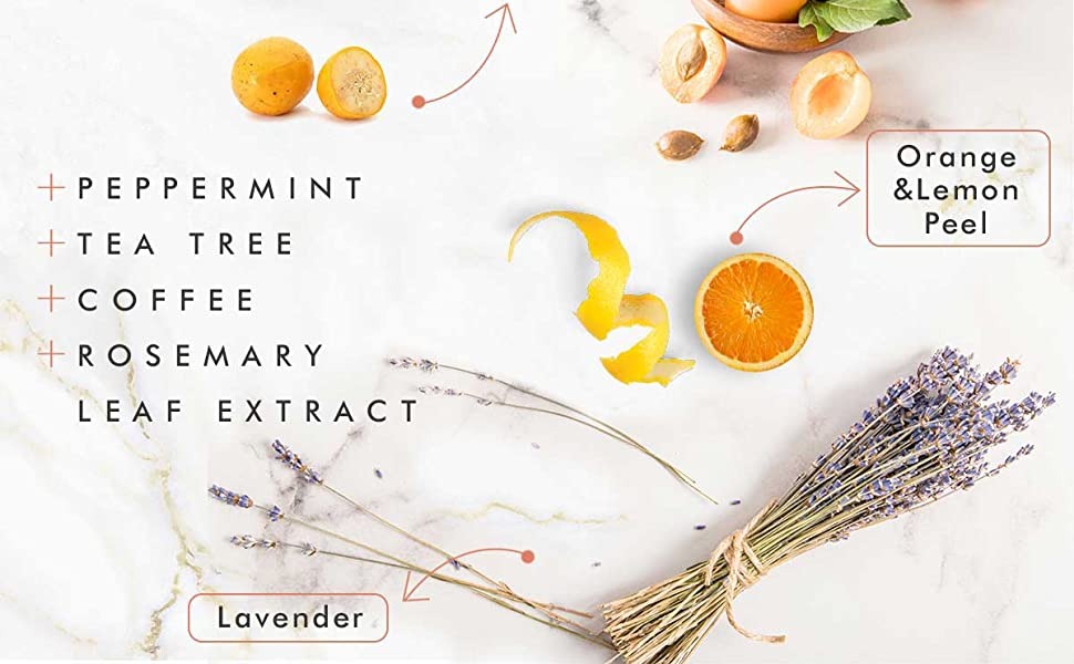 +PEPPERMINT
-TEA TREE
+COFFEE
+ROSEMARY
LEAF EXTRACT
Lavender
Orange &Lemon
Peel