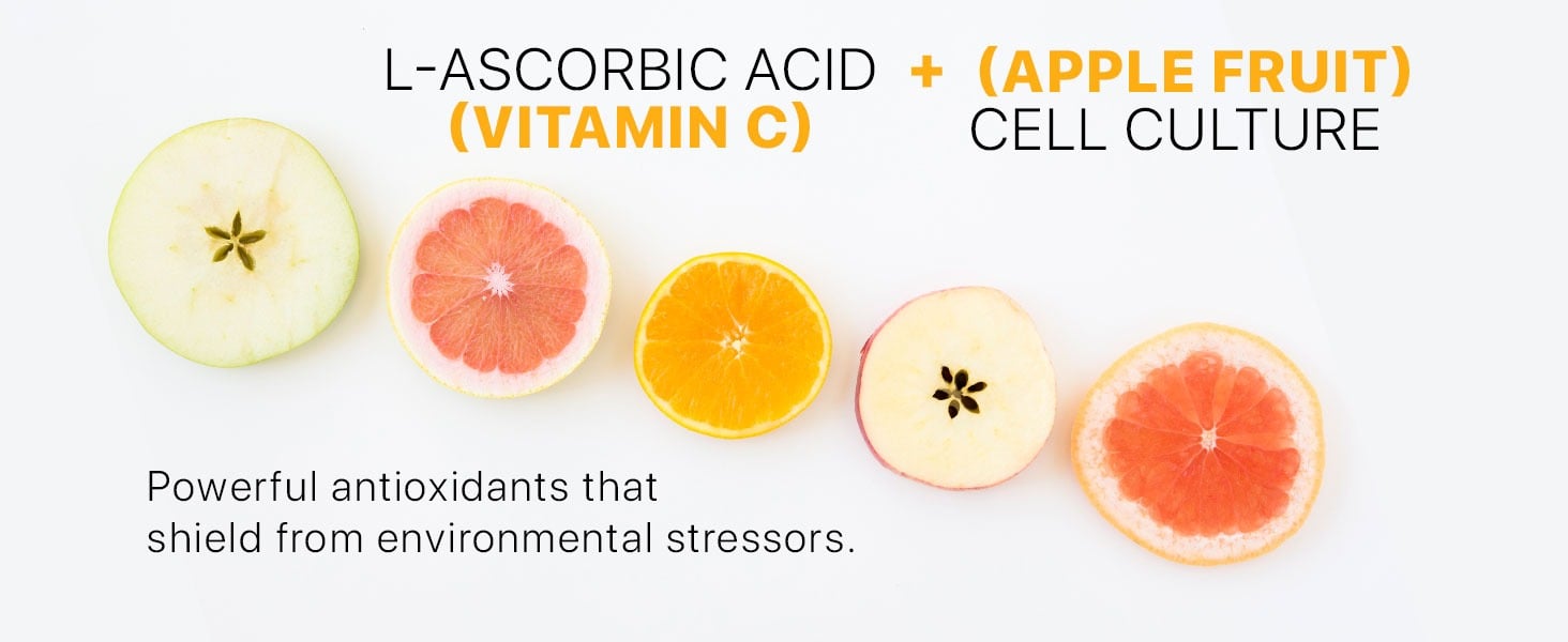 L-ASCORBIC ACID + (APPLE FRUIT)
(VITAMIN C)
CELL CULTURE
Powerful antioxidants that shield from environmental stressors.