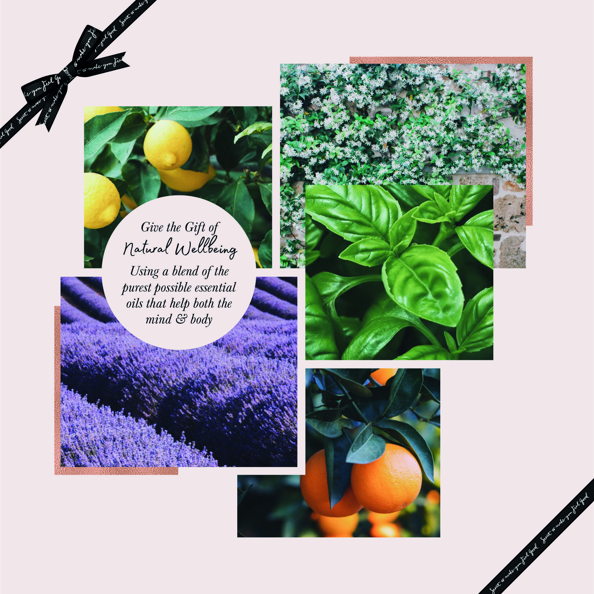 Wellness Benefits