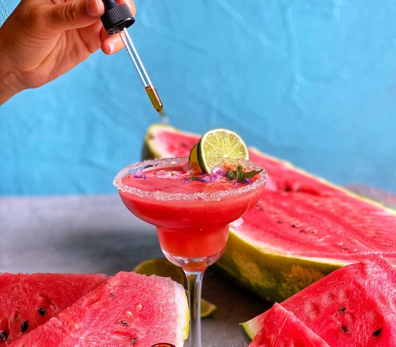 Watermelon and Mint Mocktail