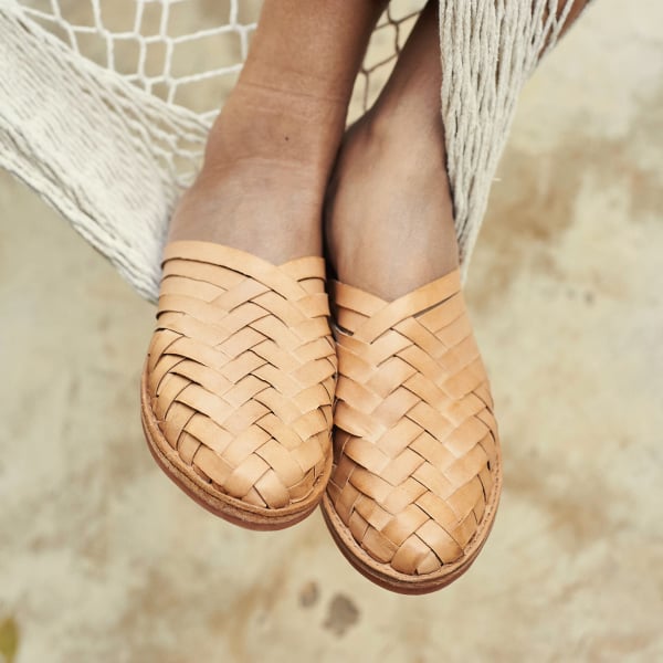 Follow us on Instagram! | #PALAPATheMule