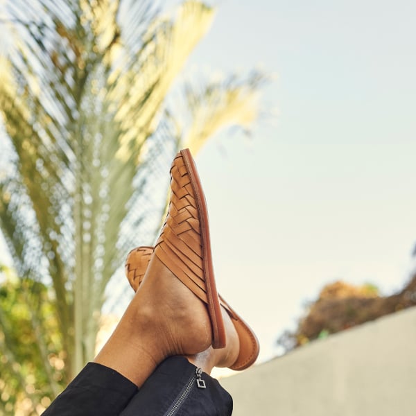 Follow us on Instagram! | #PALAPATheMule