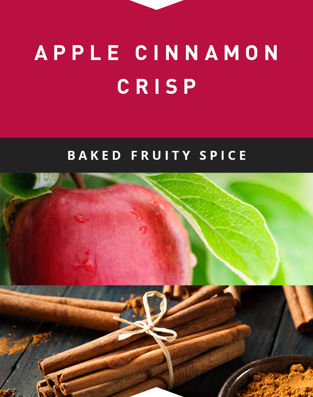 Collage for Apple Cinnamon Crisp 3-wick 10oz Jar Candle