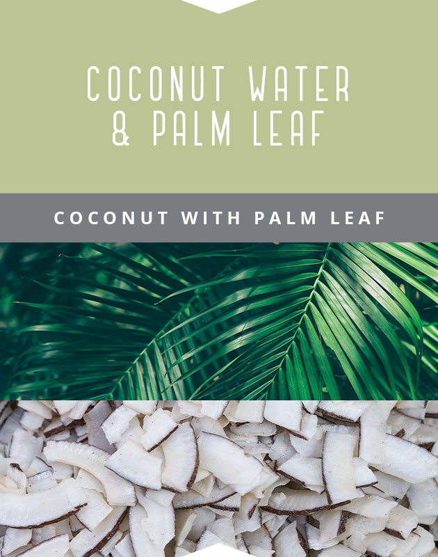 Collage for Coconut Water & Palm Leaf 9oz Jar Candle