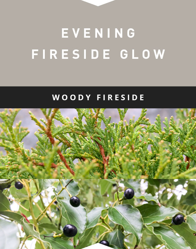Collage for Evening Fireside Glow 3-wick 10oz Jar Candle