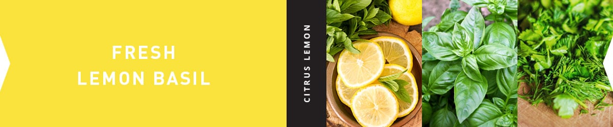 Collage for Fresh Lemon Basil 3-wick 10oz Jar Candle