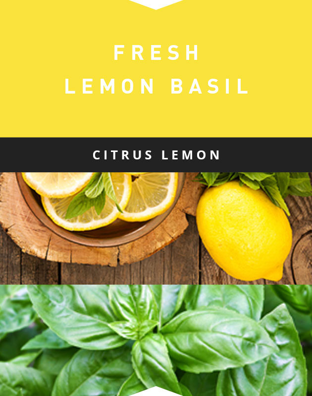 Collage for Fresh Lemon Basil