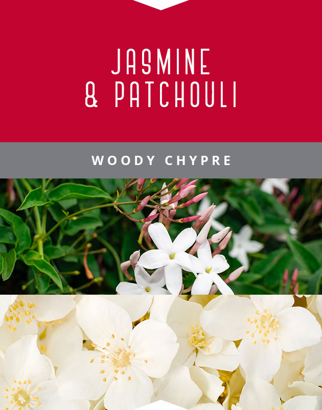 Collage for Jasmine & Patchouli 9oz Jar Candle