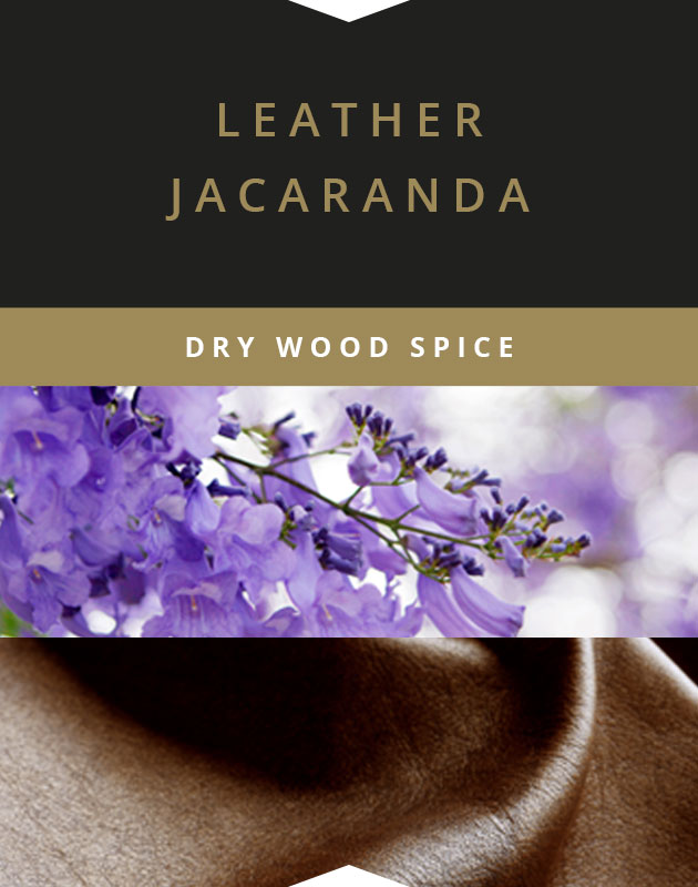 Collage for Leather Jacaranda Wooden-Wick 14oz Jar Candle