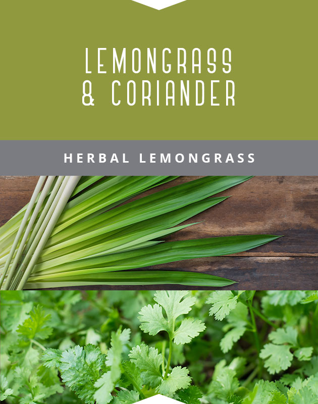 Collage for Lemongrass & Coriander 9oz Jar Candle