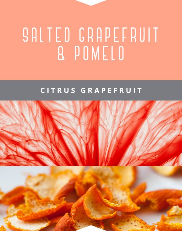 Collage for Salted Grapefruit & Pomelo 3-wick 14.75oz Jar Candle