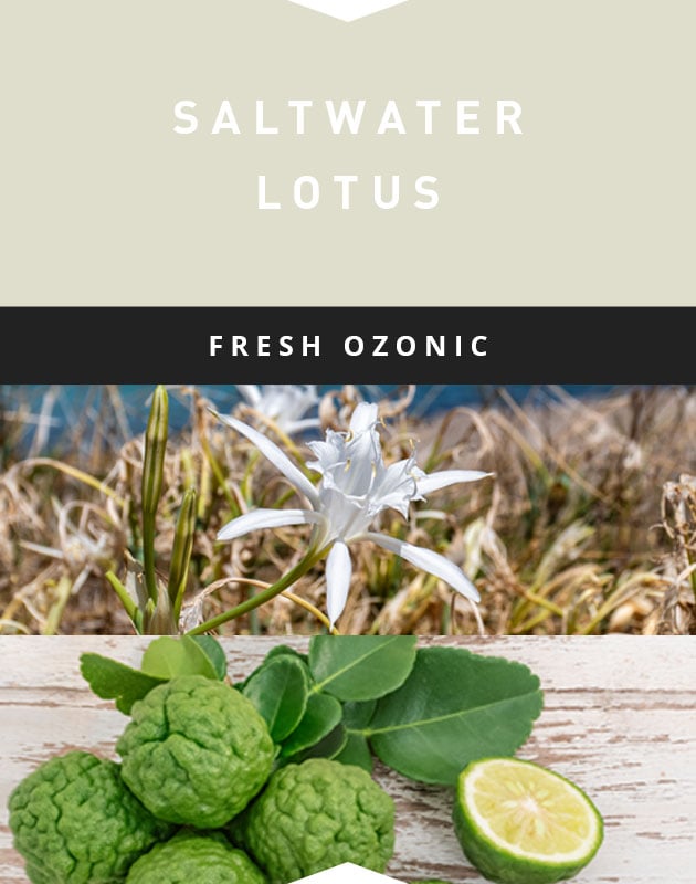 Collage for Saltwater Lotus 3-wick 10oz Jar Candle