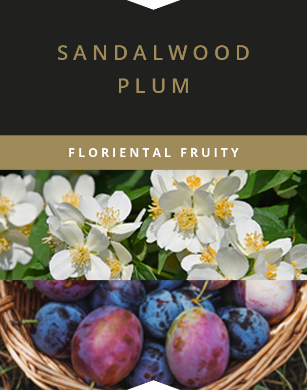 Collage for Sandalwood Plum Wooden-Wick 14oz Jar Candle