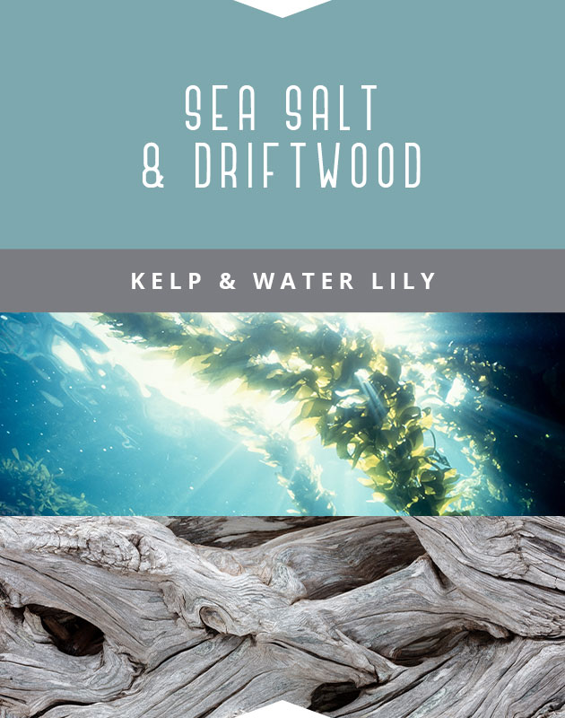 Collage for Sea Salt & Driftwood 9oz Jar Candle