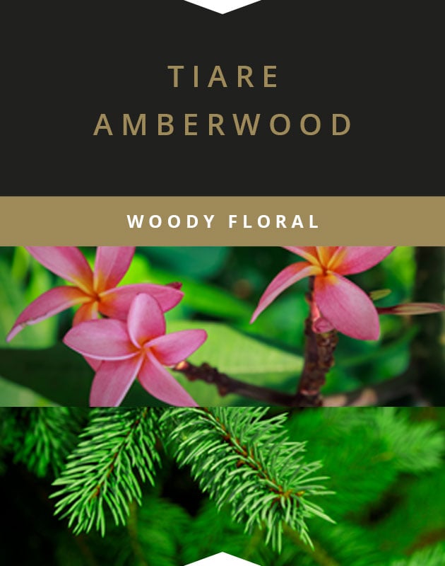 Collage for Tiare Amberwood Wooden-Wick 14oz Jar Candle