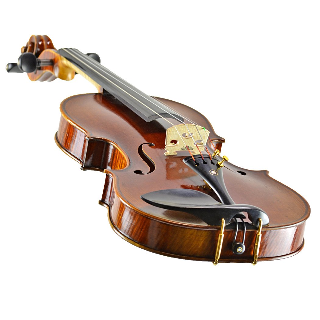CLEARANCE Mikhail Vitacek Violin Outfit in action