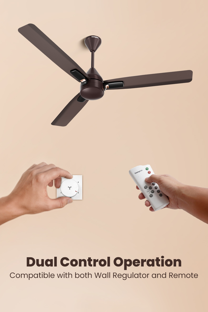 Dual Control