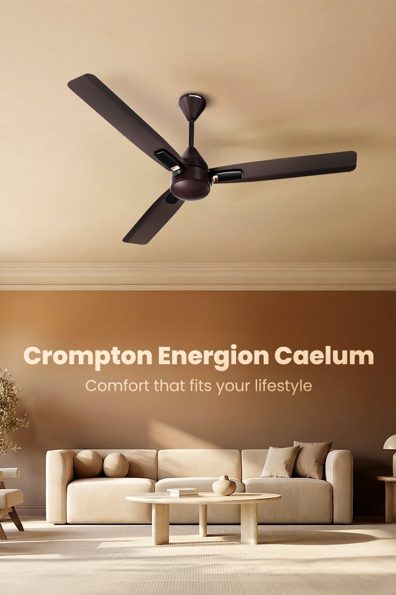 Crompton Energion Caelum