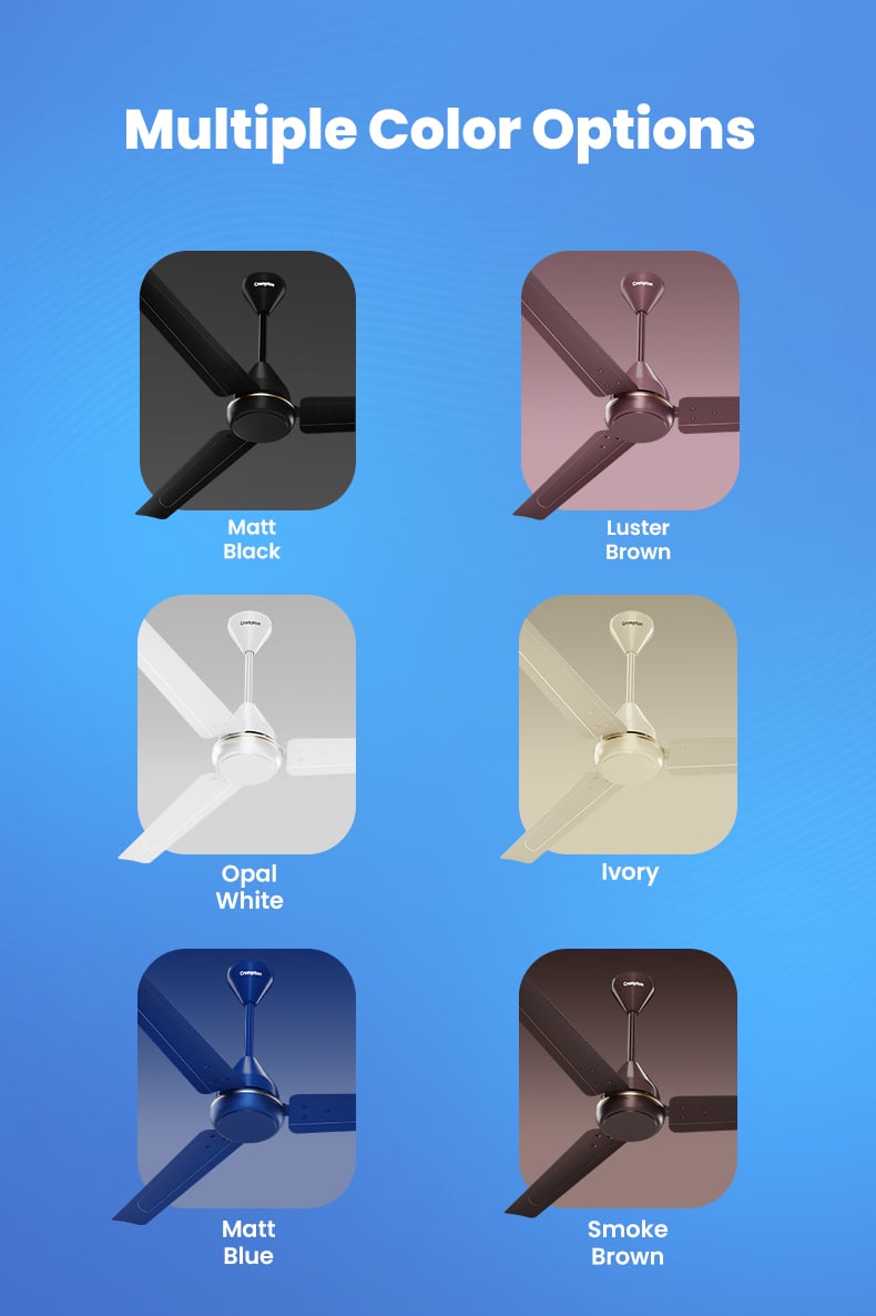 Multiple Color Options