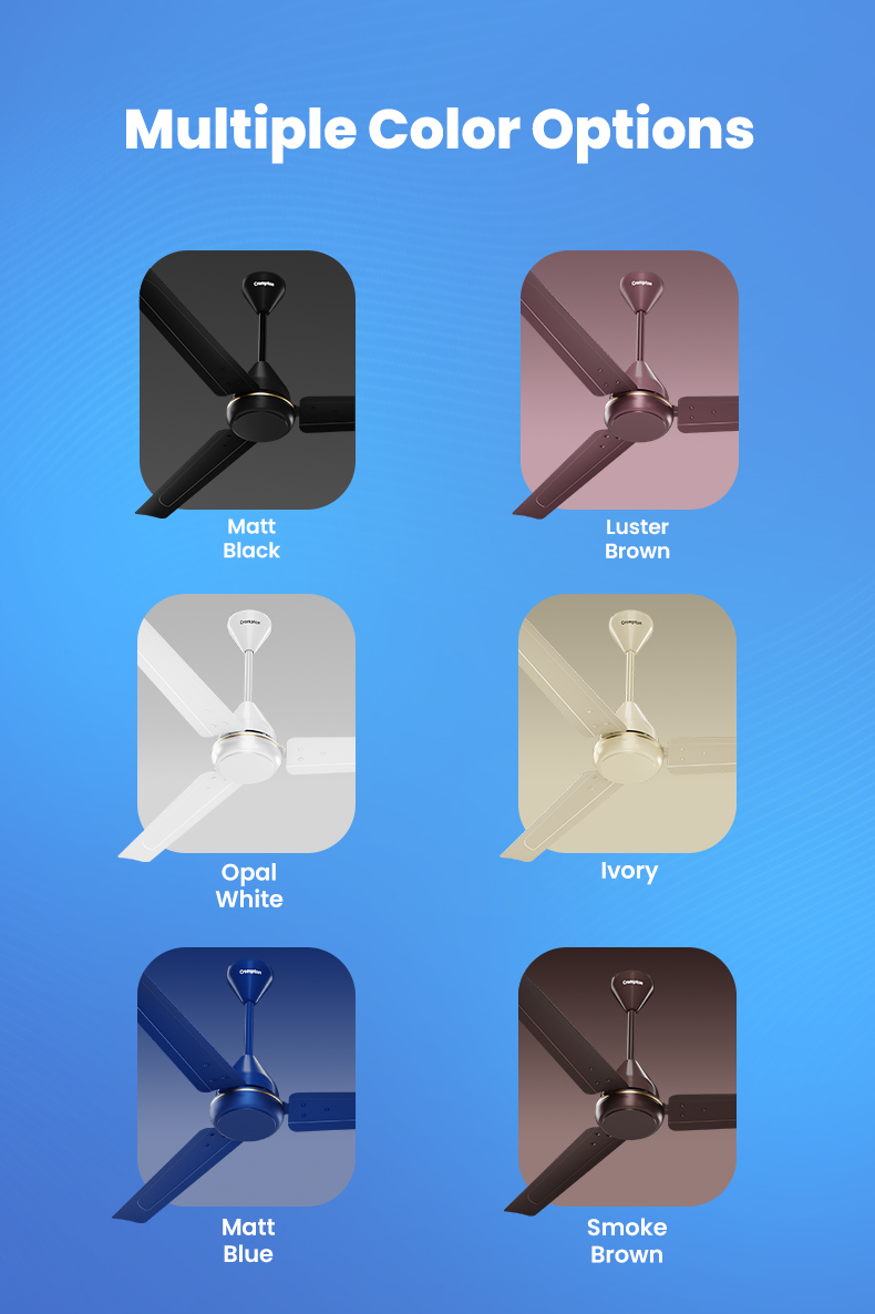 Multiple Color Options