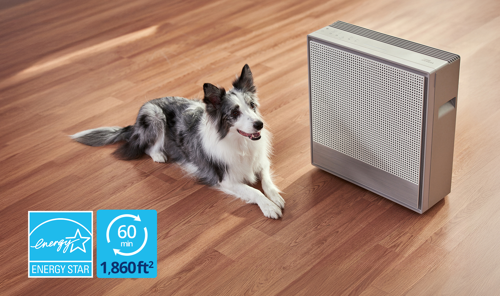 Coway Airmega 250 with pet dog