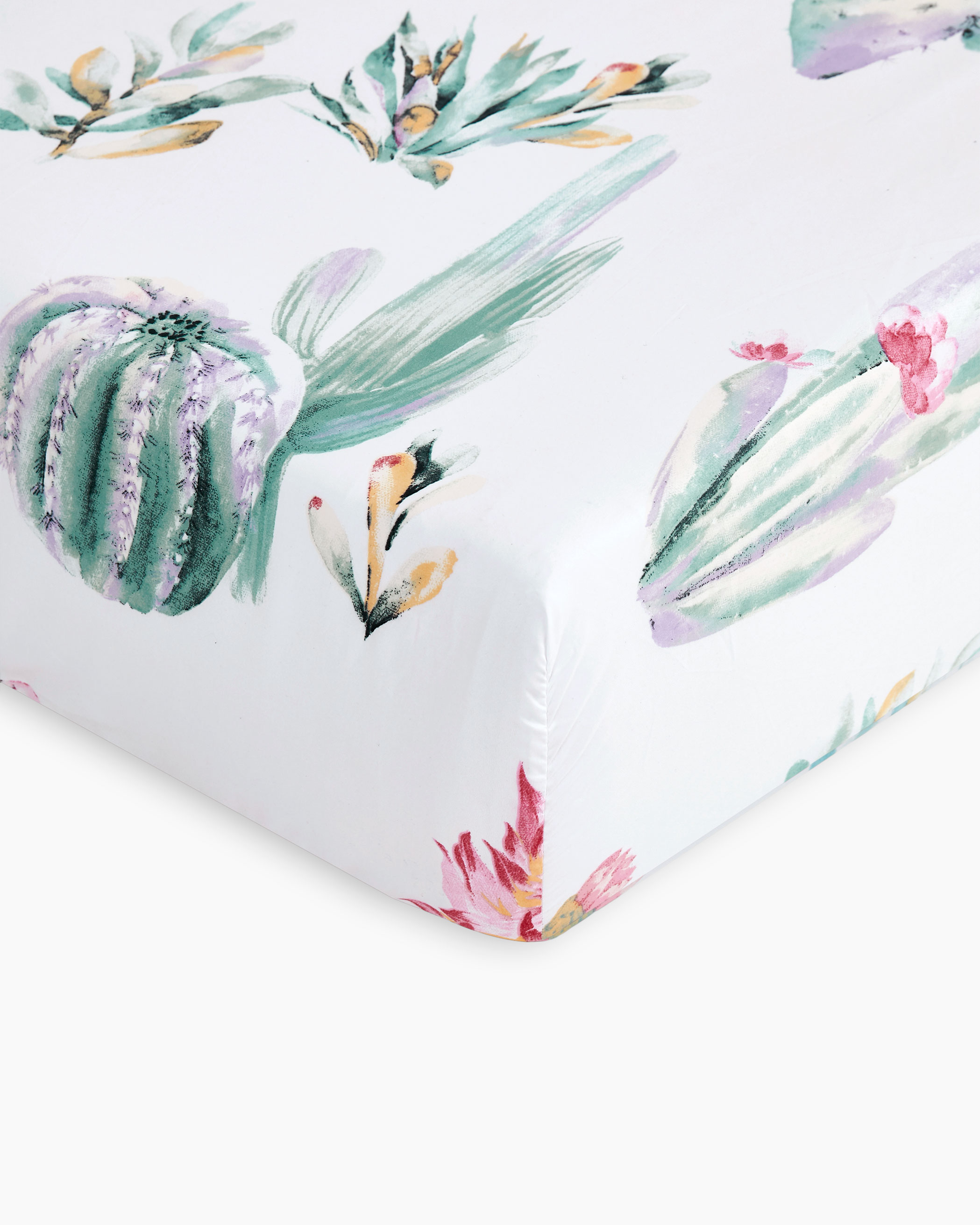 Cactus Microfiber Sheet Set