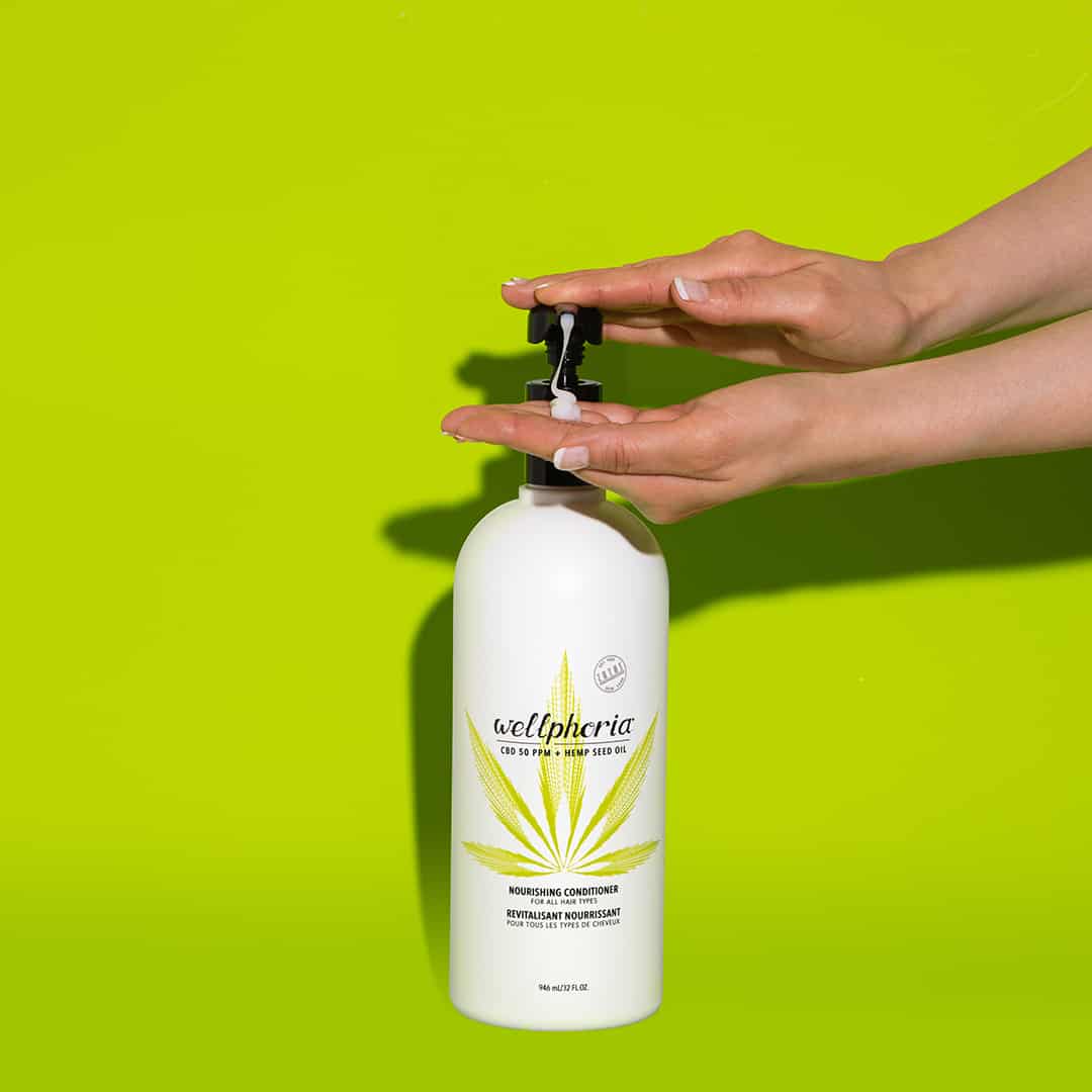 What is a Hemp Shampoo & Conditioner? Wellphoria