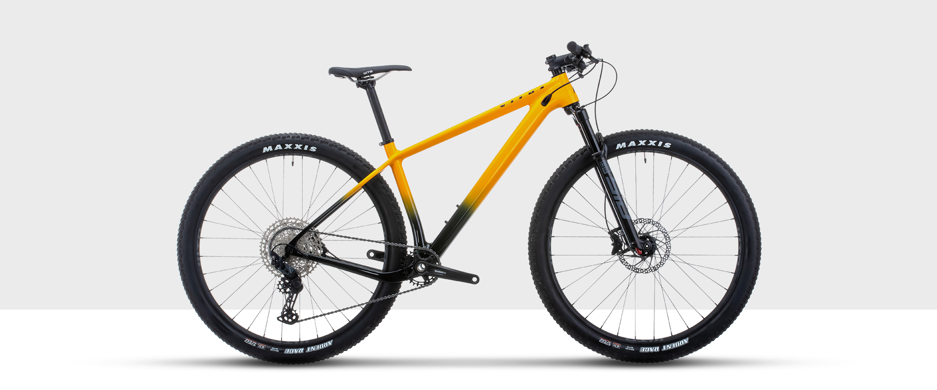 Vitus Rapide 29 CRS Mountain Bike