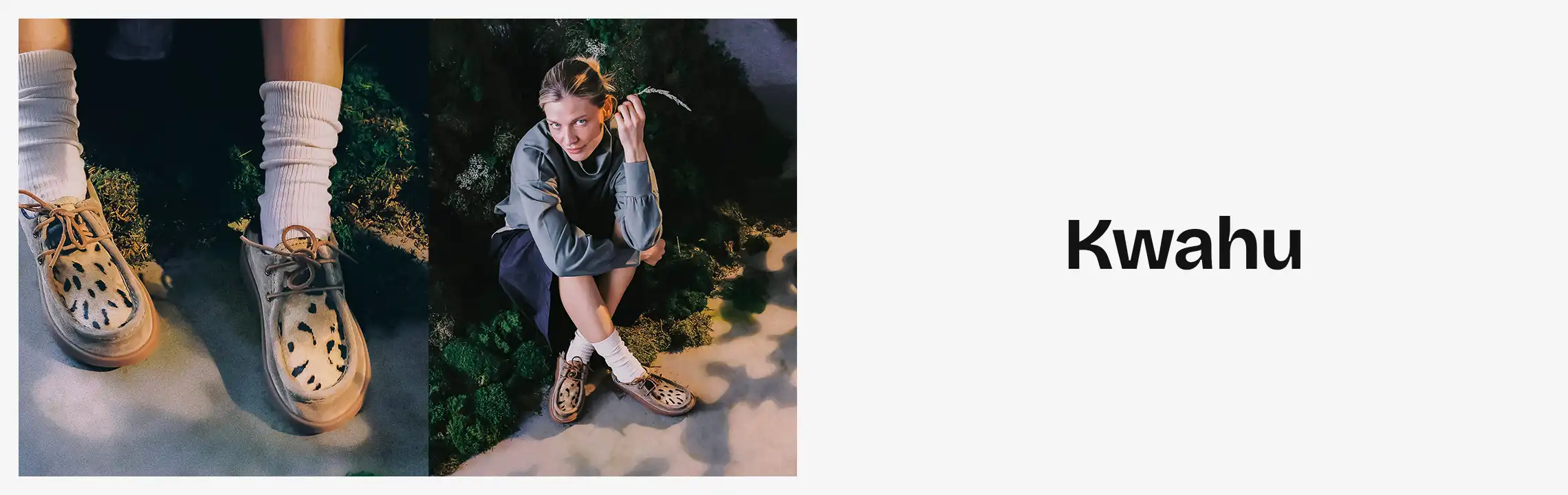 Collection Banner