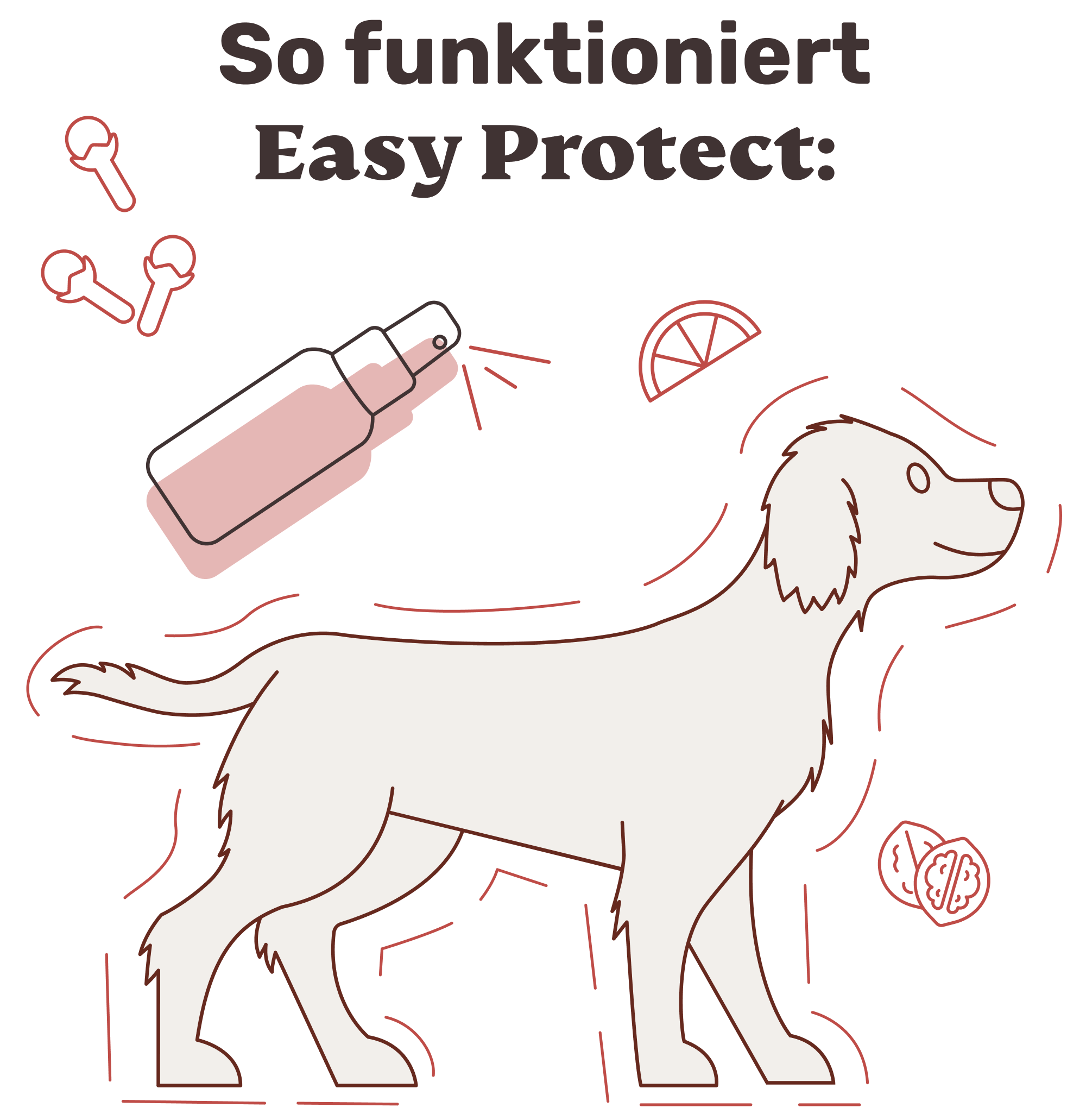 Easy Protect