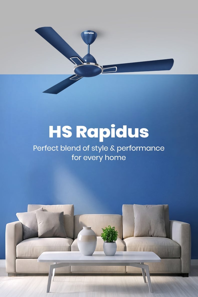 High Speed Rapidus