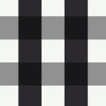 Black & White Gingham