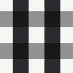 Black & White Gingham