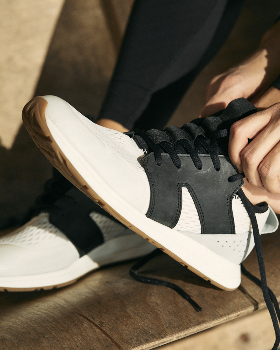 The Frank Trainer Base