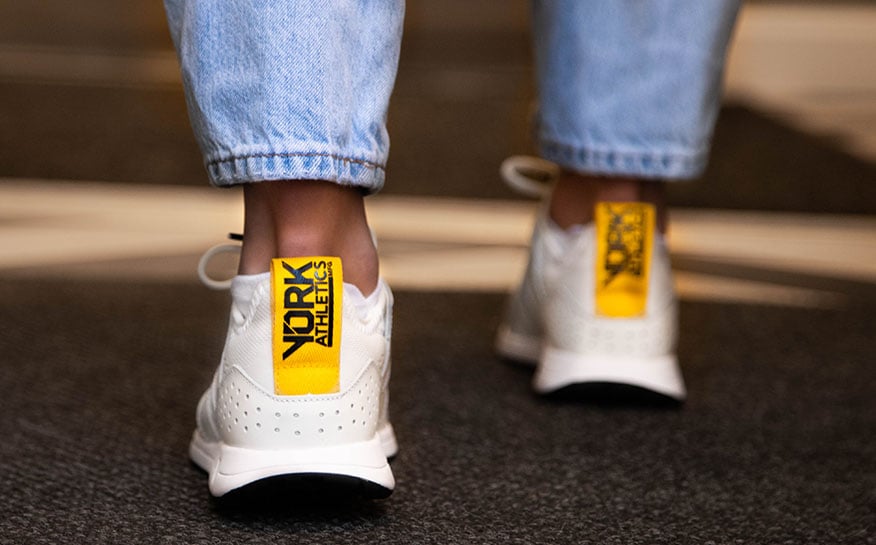 The Frank Trainer Base