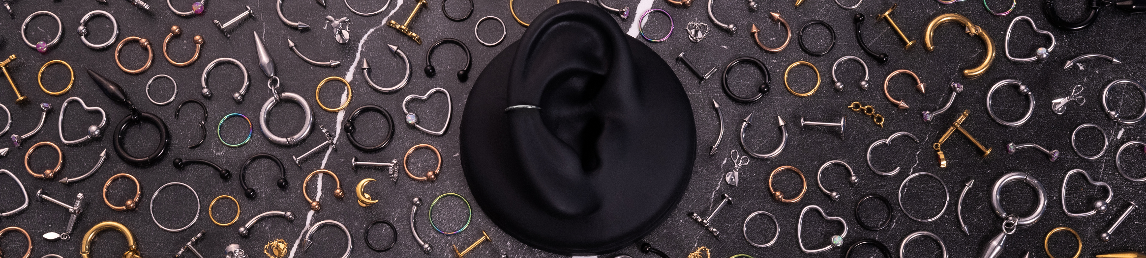 Conch Piercing Jewellery