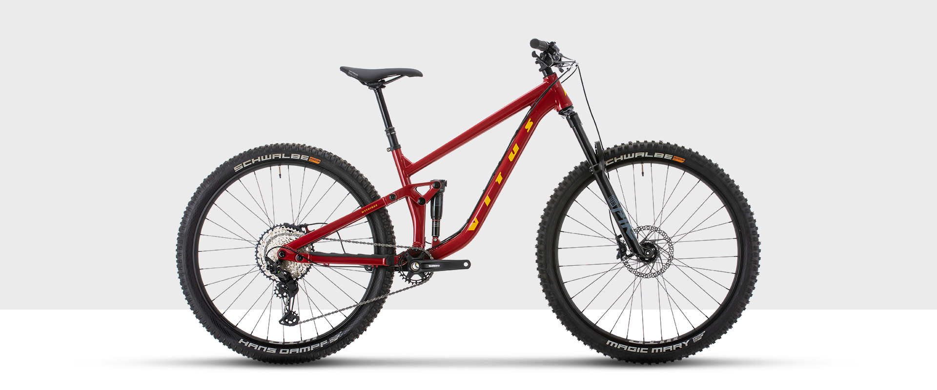 Vitus Mythique 29 AMP Mountain Bike