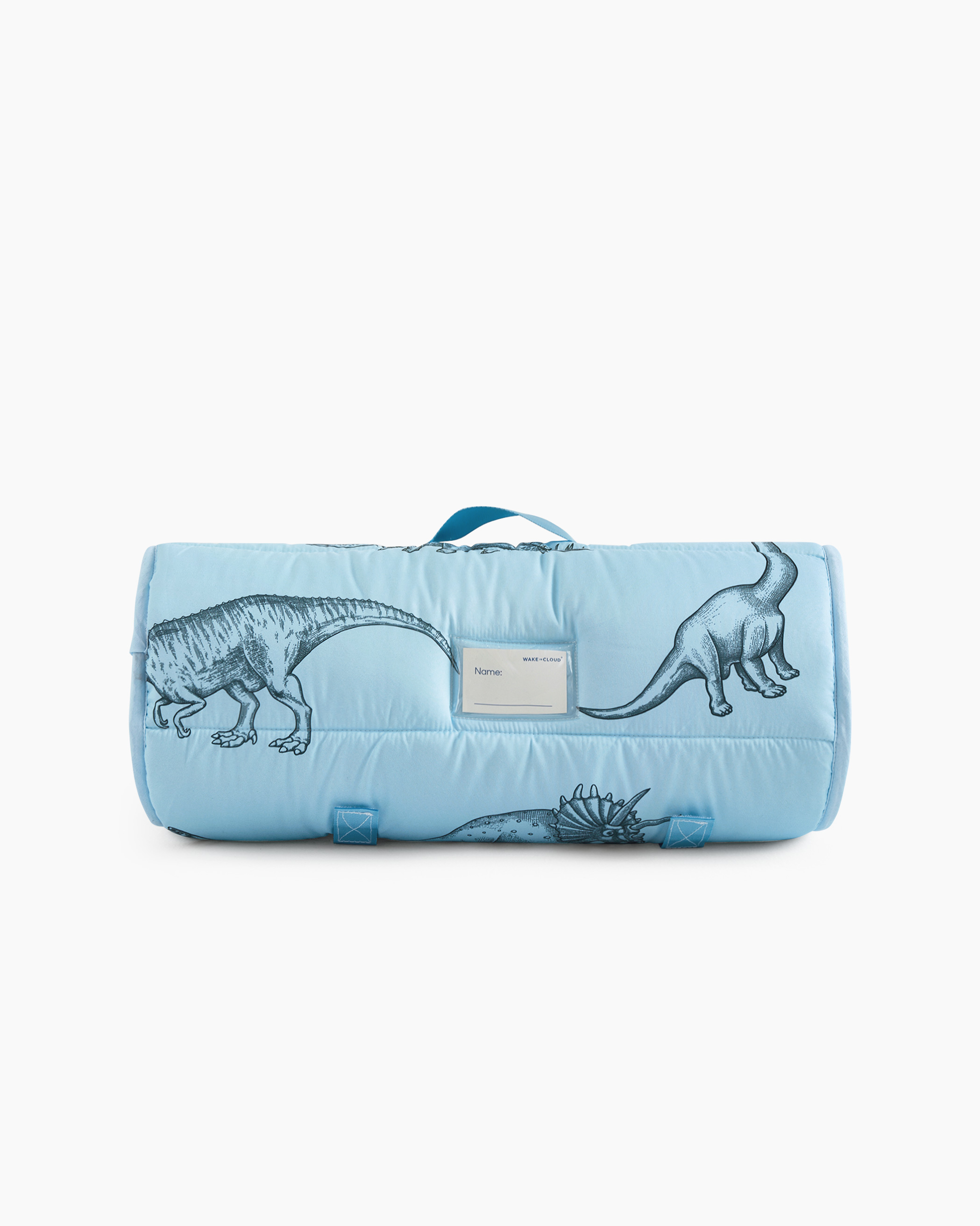 Light Blue Dinosaur Drawing Microfiber Kids Nap Mat