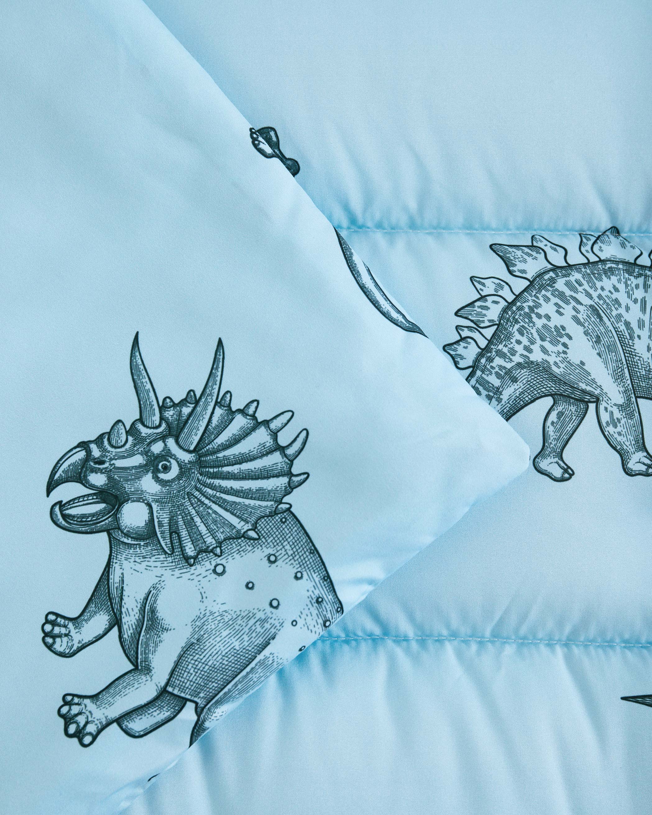 Light Blue Dinosaur Drawing Microfiber Kids Nap Mat