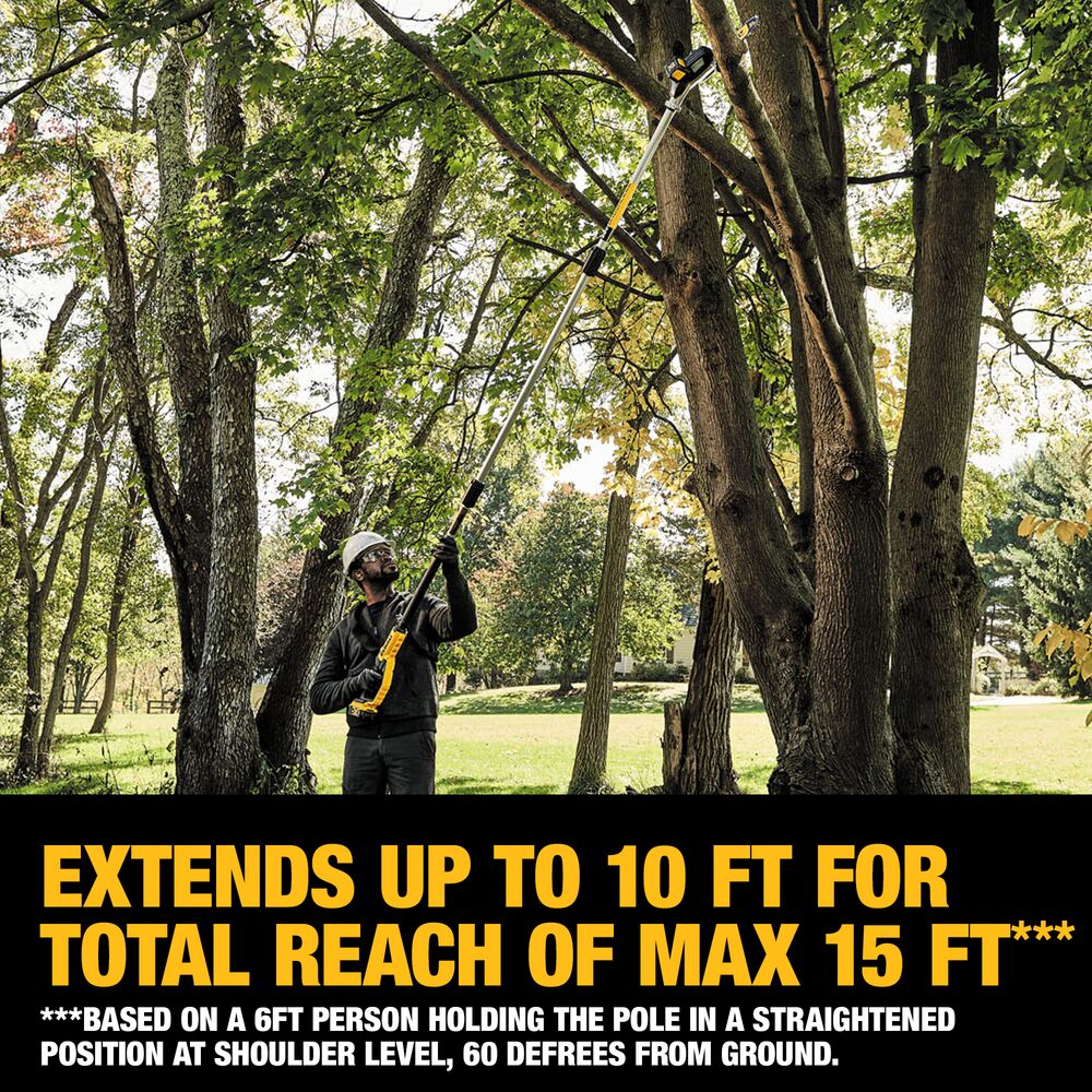 20V MAX XR Lithium-Ion Cordless 8" Pole Saw Kit